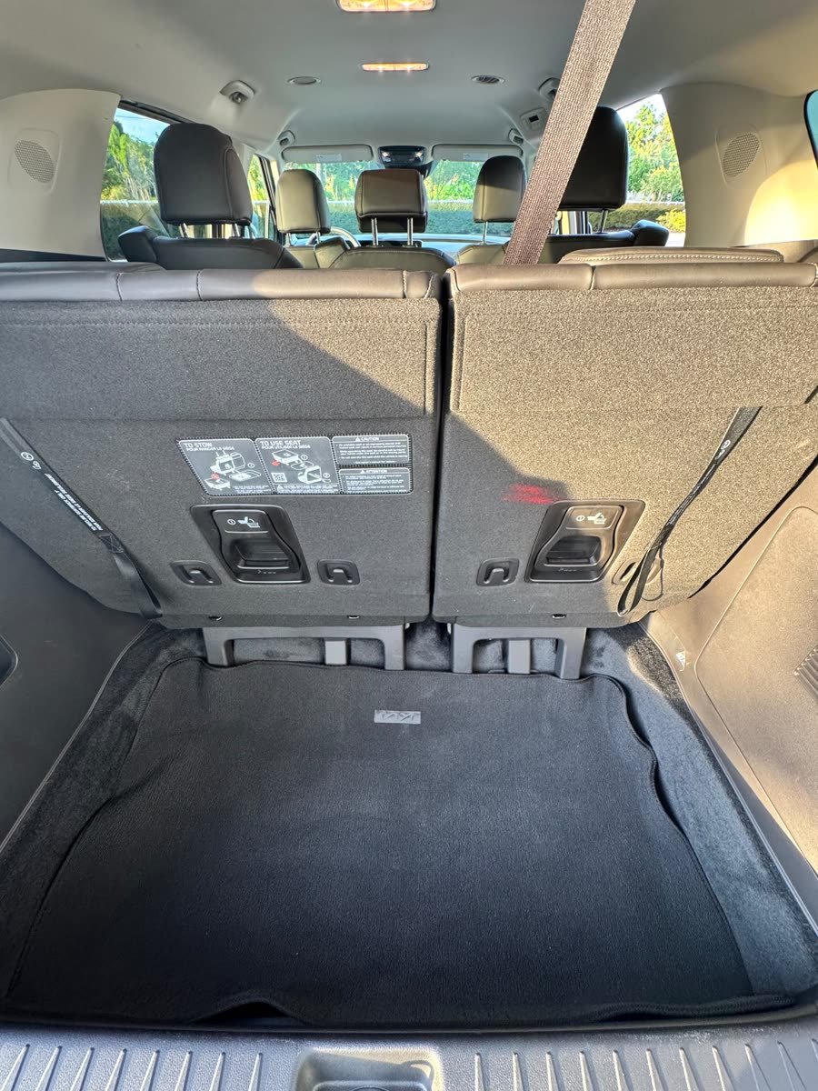 Kia Carnival New Look — photo 2 of 10