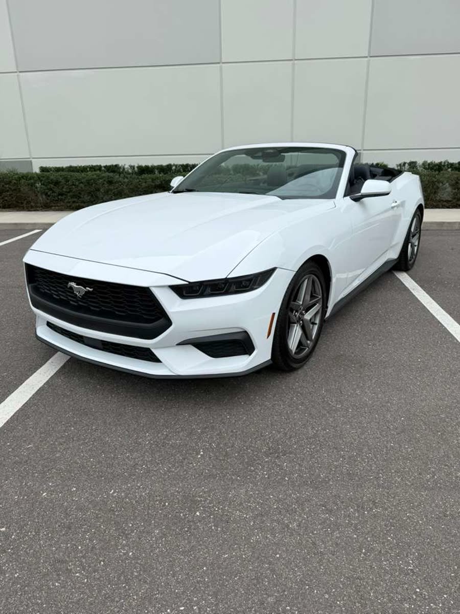 Ford Mustang Convertible Premium — photo 2 of 12