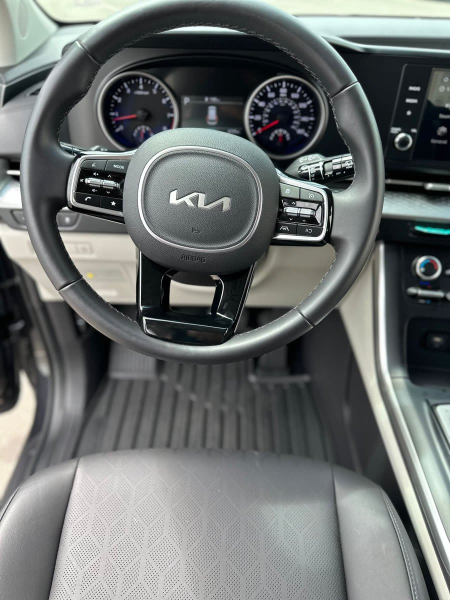 Kia Carnival Gray — photo 8 of 15
